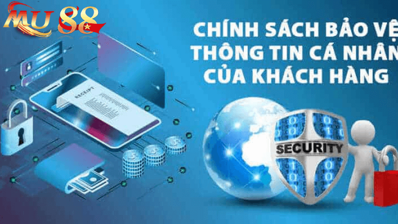 Quyền Lợi Của Người Dùng Theo Chính Sách Bảo Mật